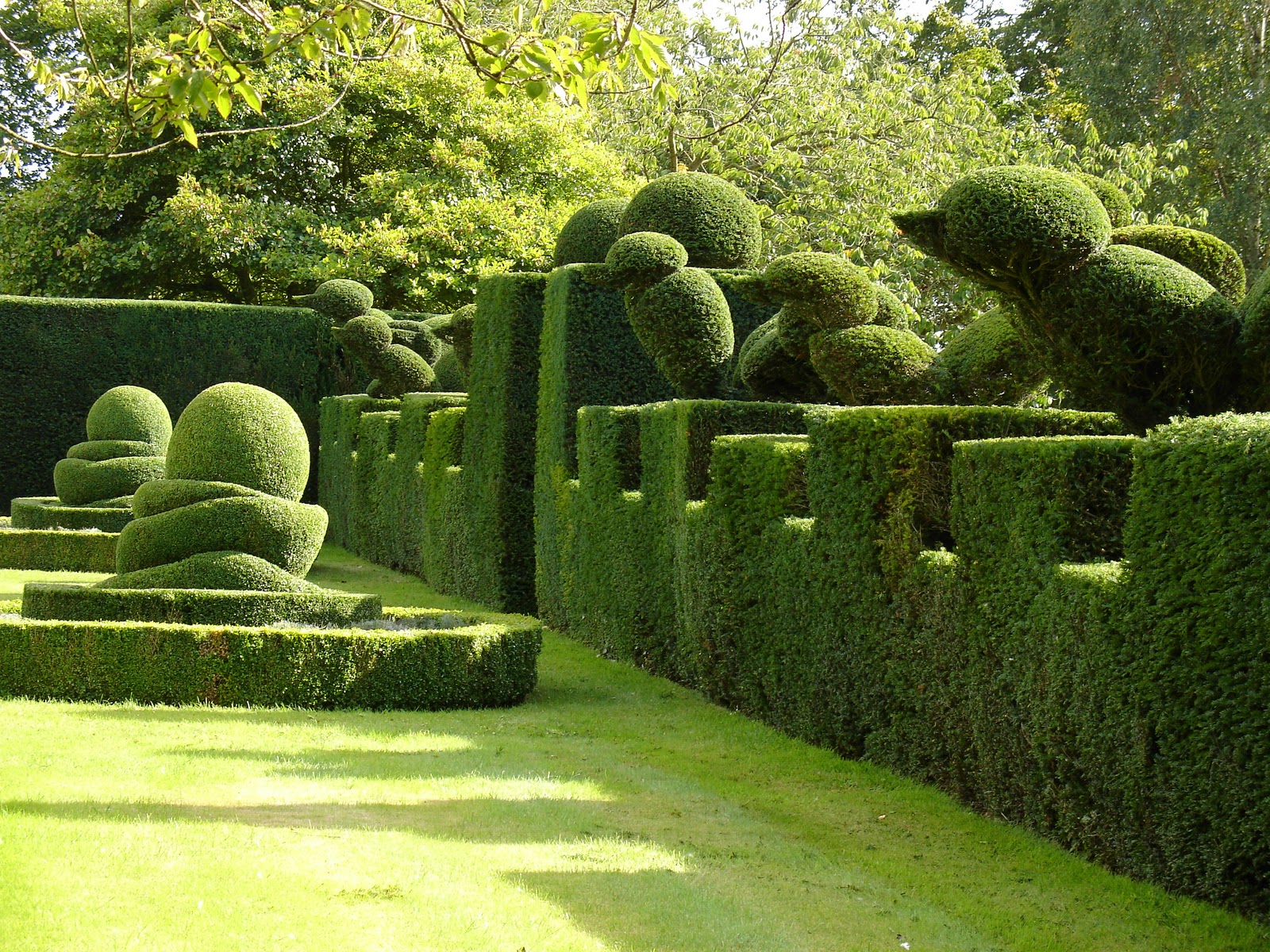 The Many Different Topiary Styles