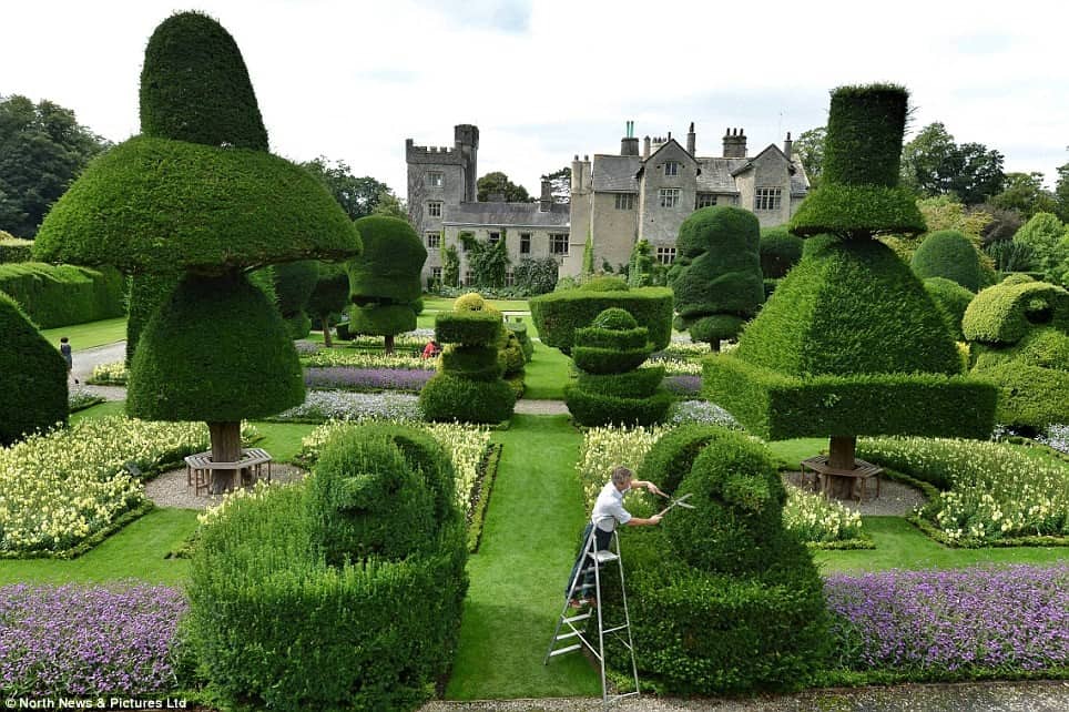 topiary styles